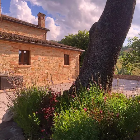 Serena - Teloni Villa Sant'Angelo in Pontano